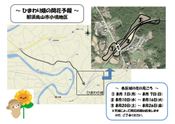 ① ③ ～ ひまわり畑の開花予報