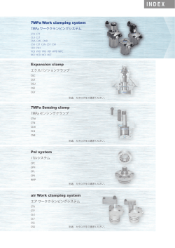 INDEX
