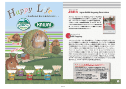 ラビットホッピング公式ルールブックダウンロードはこちら