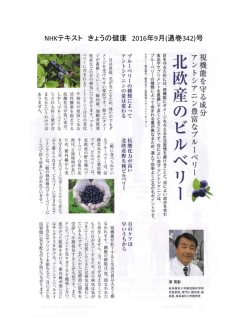 ページ見本はこちら