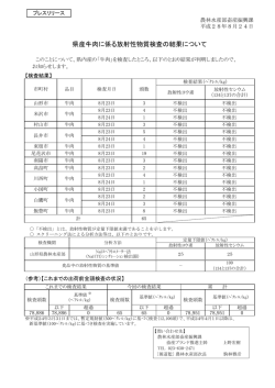 プレスリリース資料 (PDF documentファイル サイズ： 176Kb)