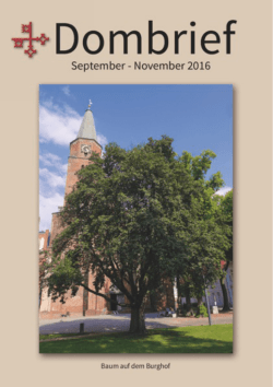 Dombrief September - November 2016