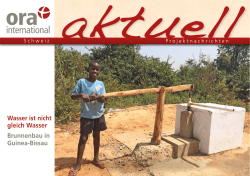 Wasser ist nicht gleich Wasser Brunnenbau in Guinea