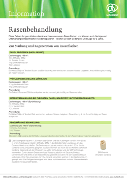 Handzettel downloaden