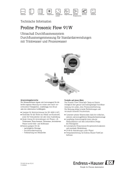 Technische Information, Prosonic Flow 91W