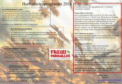 Hier - Freizi