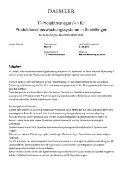 IT-Projektmanager/-in f&uuml;r
