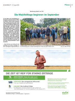 Die Maisfeldtage beginnen - Landwirtschaftskammer Schleswig