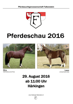 H&auml;rkingen Fohlenschau 2016 Abrufliste