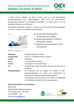 Informationsblatt  - Steierm&auml;rkische Gebietskrankenkasse