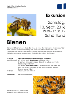 Bienen - Pfarrei Schöftland