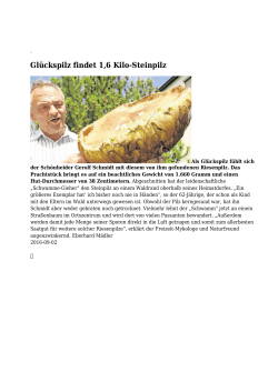 Glückspilz findet 1,6 Kilo-Steinpilz - Vogtland