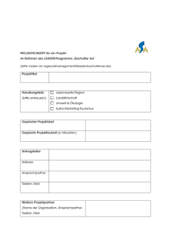 Formular-Projektkonzept-1