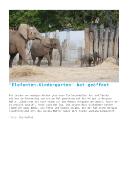 "Elefanten-Kindergarten" hat geöffnet