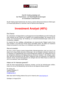BV group Investment Analyst (40%)