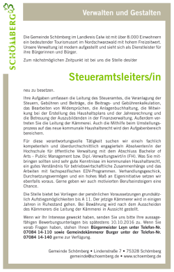 SteueramtsleiterIn - Stelleninserate.de