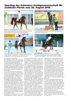 Sporttag der Schweizer Zuchtgenossenschaft für arabische Pferde