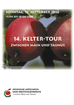 flyer-Kelter-Tour 2016