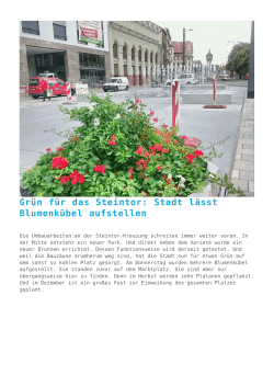 Grün für das Steintor: Stadt lässt Blumenkübel