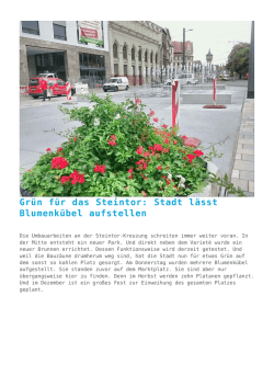 Gr&uuml;n f&uuml;r das Steintor: Stadt l&auml;sst Blumenk&uuml;bel