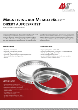 Magnetring auf Metallträger direkt aufgespritzt(PDF 462 K)