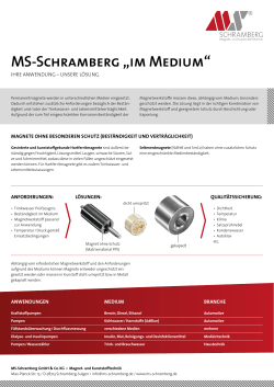MS-Schramberg „im Medium“(PDF 89 K)