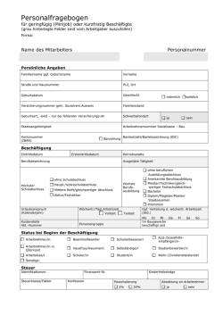 Personalfragebogen für Aushilfen