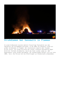 Strohdiemen bei Sennewitz in Flammen