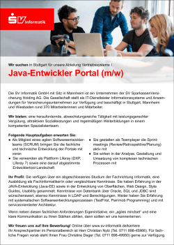 Java-Entwickler Portal (m/w)