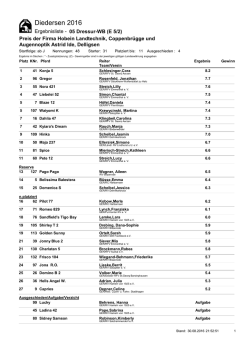 Dressur-WB (E 5/2)