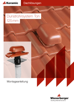 Dunstrohrsystem Ton 125 mm