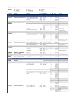 Diplom Wirtschaftsinformatik, Grundstudium (Stand