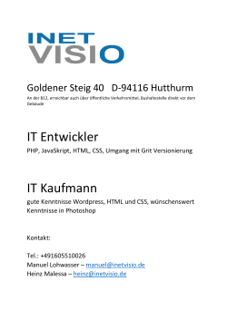 IT Entwickler IT Kaufmann