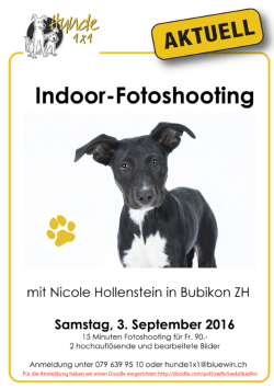 fotoshooting4 - in der Hundeschule Hunde 1x1