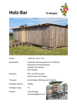 Holz-Bar - TV B&uuml;rglen + Leimbach