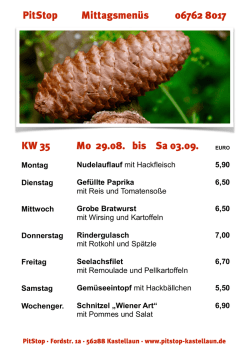 Downloadlink - PitStop Kastellaun
