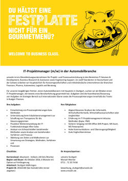 IT-Projektmanager (m/w) in der Automobilbranche