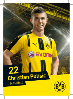 Christian Pulisic