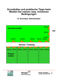 Grunds&auml;tze und Tipps