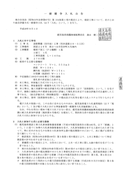 （交付金）（笠沙道路28の5工区）国道226号