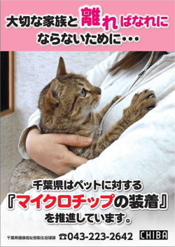 大切な家族と離ればなれにならないために…（PDF