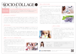 Guide