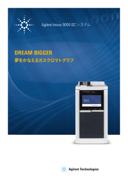 DREAM BIGGER