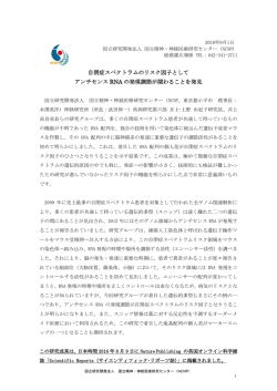 自閉症スペクトラムのリスク因子として アンチセンス RNA の発現調節が