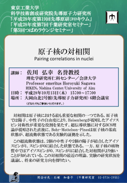 理研仁科センター/会津大学名誉教授 佐川 弘幸 博士