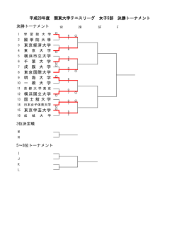 平成28年度 関東大学テニスリーグ 女子5部 決勝トーナメント 決勝