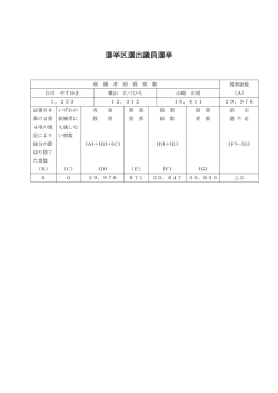 選挙区選出議員選挙（PDF：73KB）