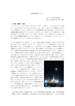 （平成28年度第1回）（PDF：2615KB）