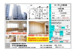 ローザンヌ南 9条