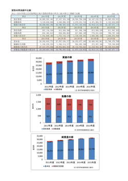 貸借対照関係比率